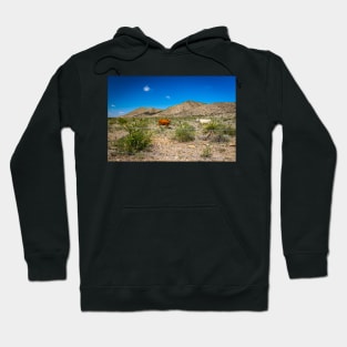 Criollo Cattle on the Open Range Hoodie